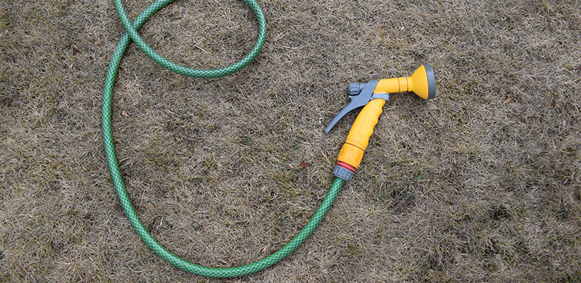 When things dry out, the common reaction is to water for short periods. That usually leads to shallow, weak roots and does not help much in real heat.