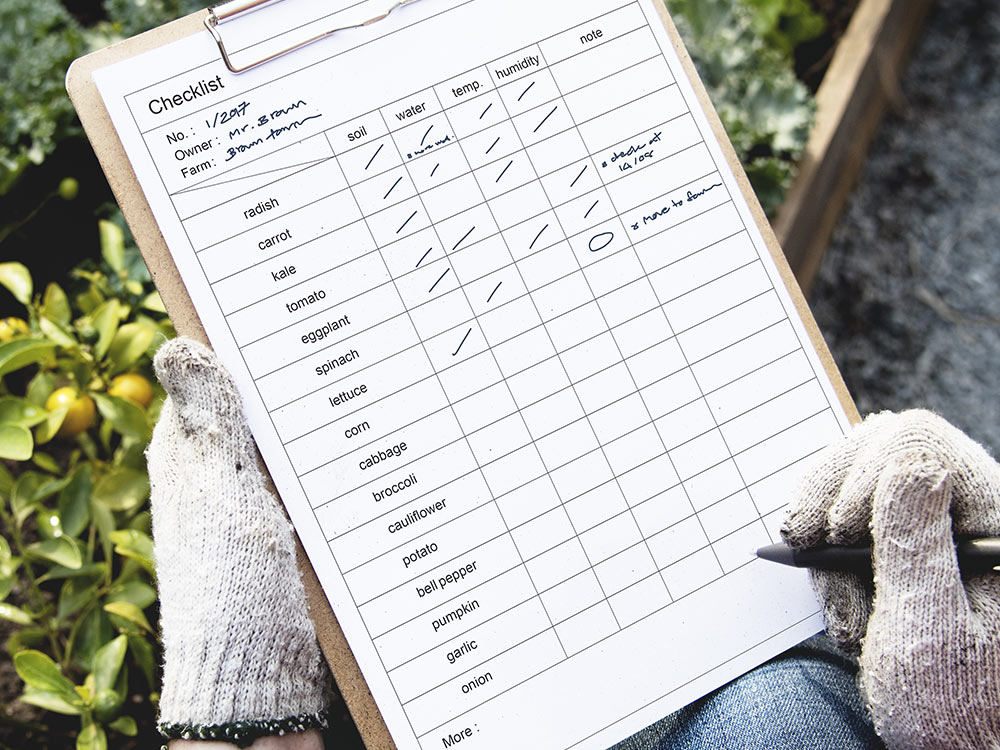 The winter is a great time to be bold with ideas and plan how you&rsquo;d like your garden to&nbsp;look.